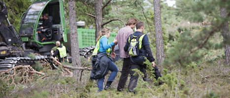 Demonstranter förs bort av poliser i Ojnareskogen. Foto: Leif Pehrsson/Scanpix